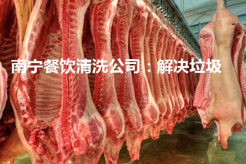 南宁餐饮清洗公司：解决垃圾难题，环保无忧